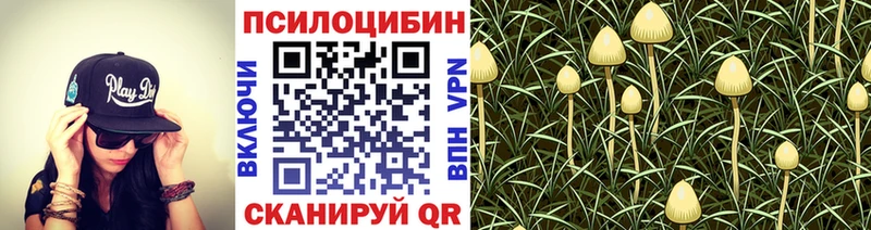 blacksprut как зайти  Ханты-Мансийск  Галлюциногенные грибы прущие грибы 