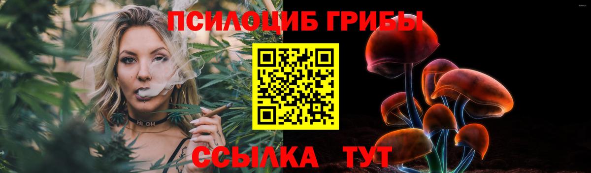 Ханты-Мансийск  Псилоцибиновые грибы Psilocybine cubensis  Вход с VPN 